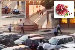 Tourist accidentally sparks bomb scare with wrong translation for ‘pomegranate’