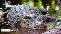 Australian farmer Colin Deveraux survives crocodile attack by biting back