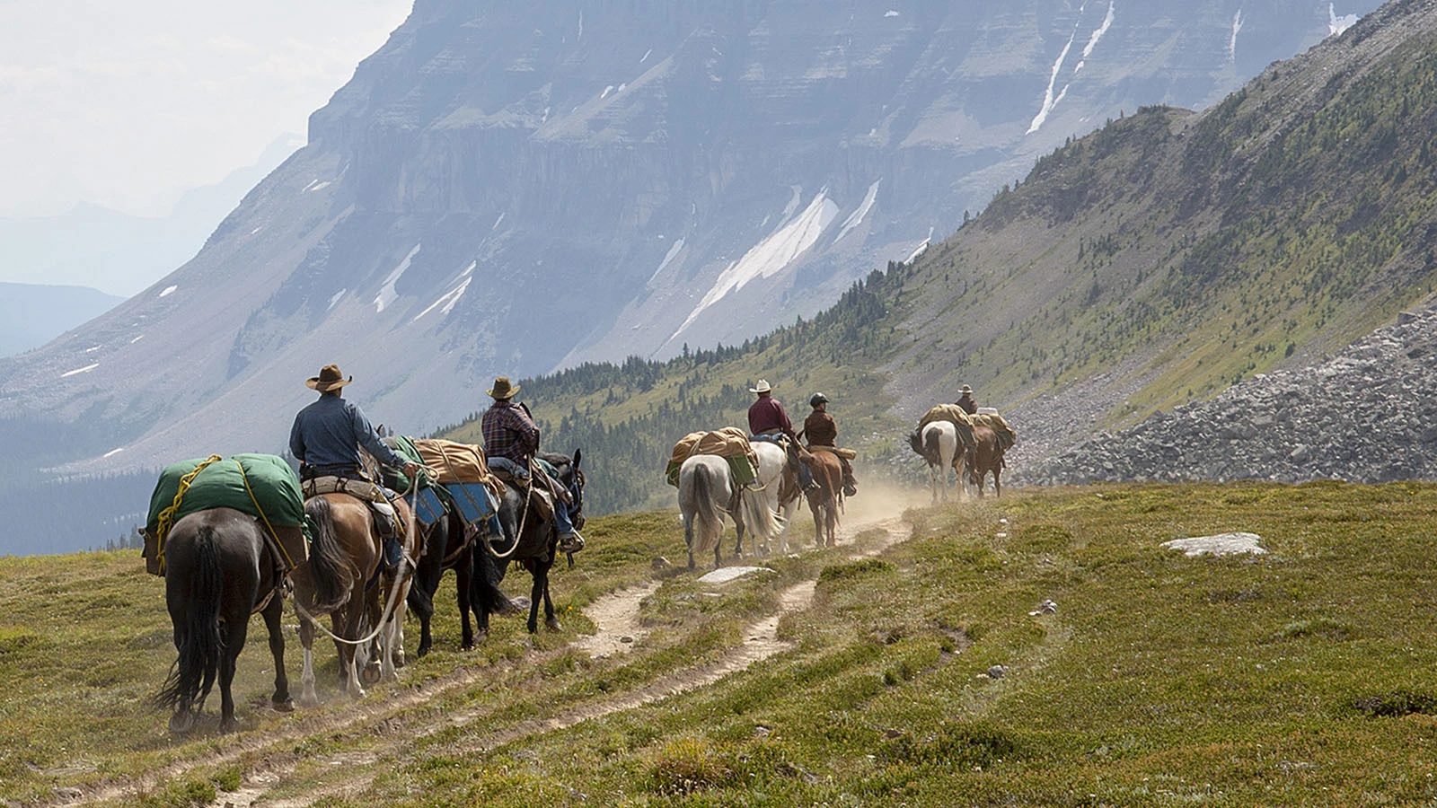 Forest Service Won't Blow Up Dead Horses Due To Fire Danger