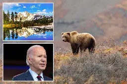 Biden admin plan to release 7 grizzly bears annually near rural communities faces widespread backlash: ‘Broad diet means they can harm anyone’