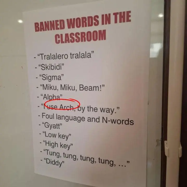 Banned phrase: I use Arch btw